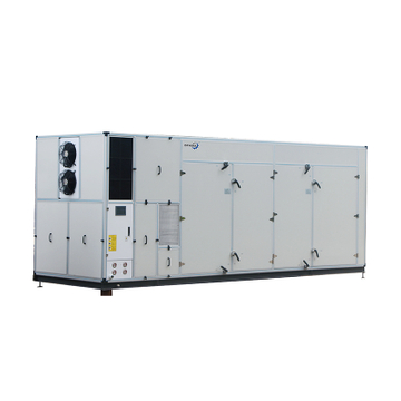 Deshidratador Industrial de Frutas