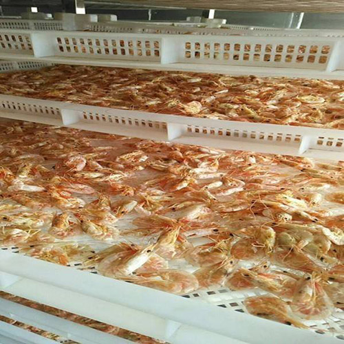 b117983f70a4e5b95d3ccf45d3546045