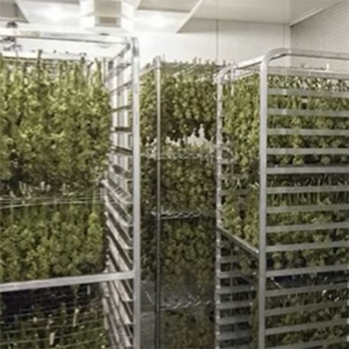 微信图片_20220701152920